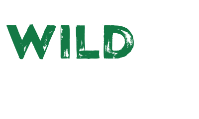 Wild Casino  logo